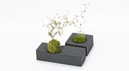 qubon 31030-31 Bonkei Planter Square / Rectangle | PRODUCT | METAPHYS