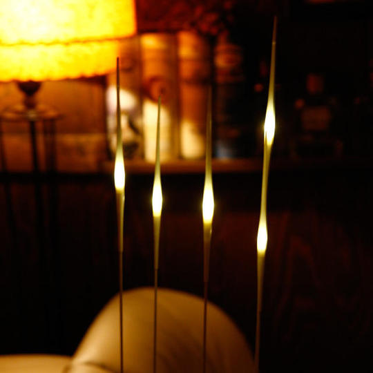 susuki 24040 Lighting | PRODUCT | METAPHYS